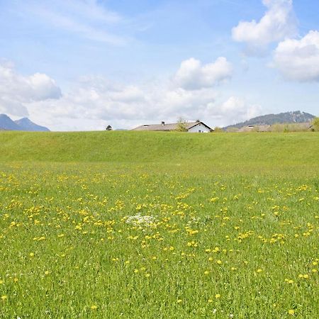 Wohnung Hochstaufen Инцелль Экстерьер фото