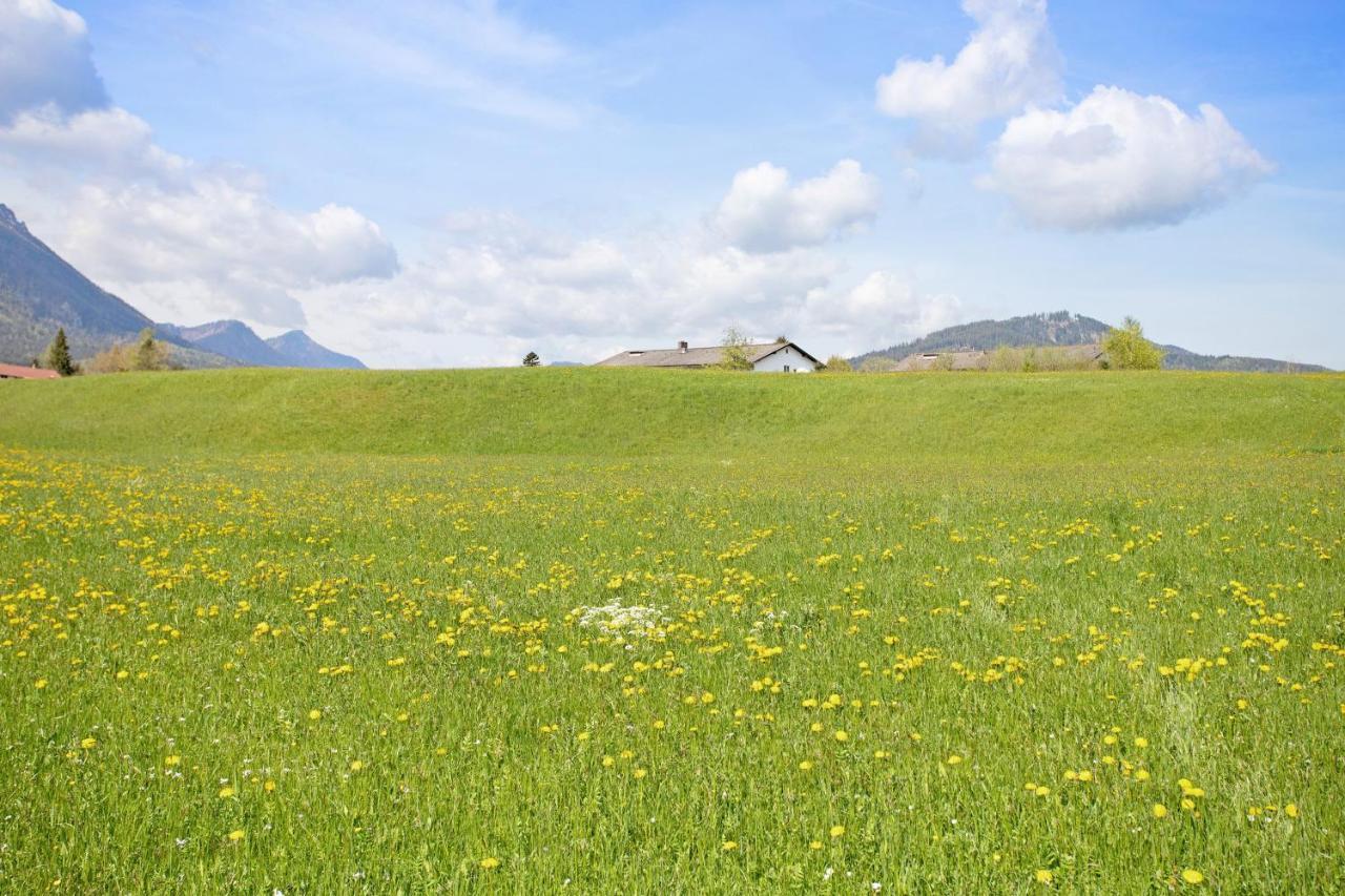 Wohnung Hochstaufen Инцелль Экстерьер фото